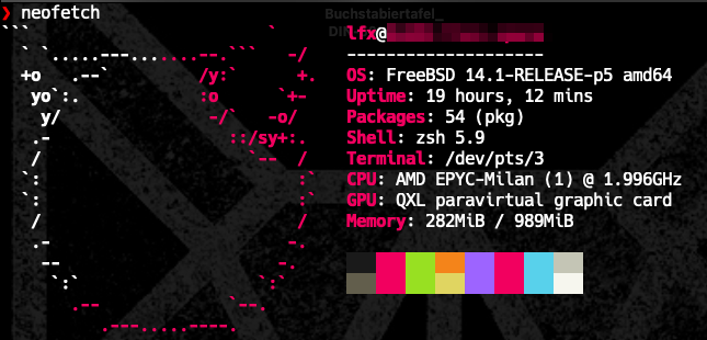 neofetch-Ausgabe auf dem FreeBSD-VPS mit AMD-EPYC-Milan-CPU